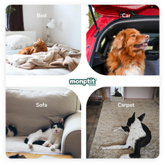 Monptit Pets hair remover tool works on bed, sofa, carpet and car