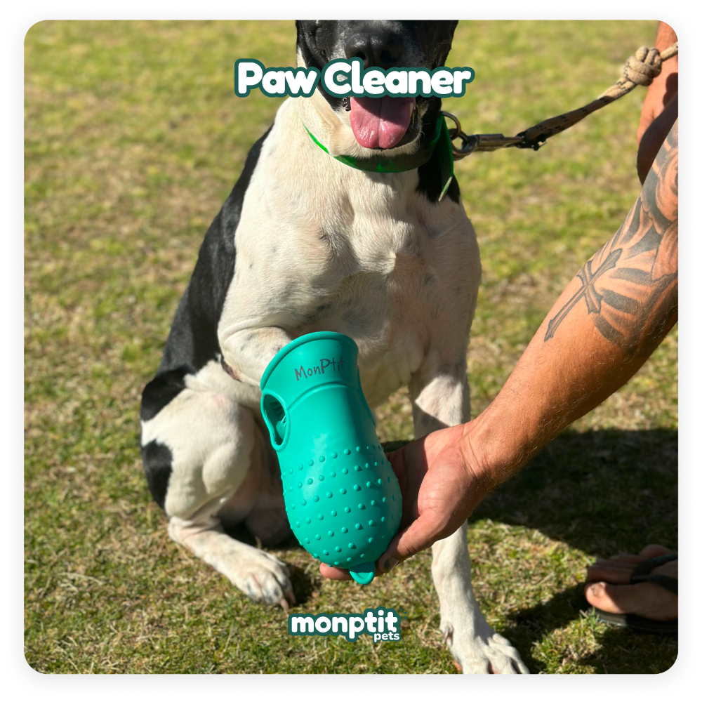 Monpti Pets Paw Cleaner – 2-in-1 portable paw washer and grooming brush