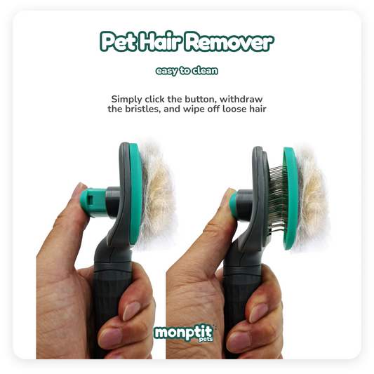 Using the Monptit Pets brush to remove hair from dog’s coat outdoors