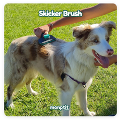 Using the Monptit Pets brush to remove hair from dog’s coat outdoors