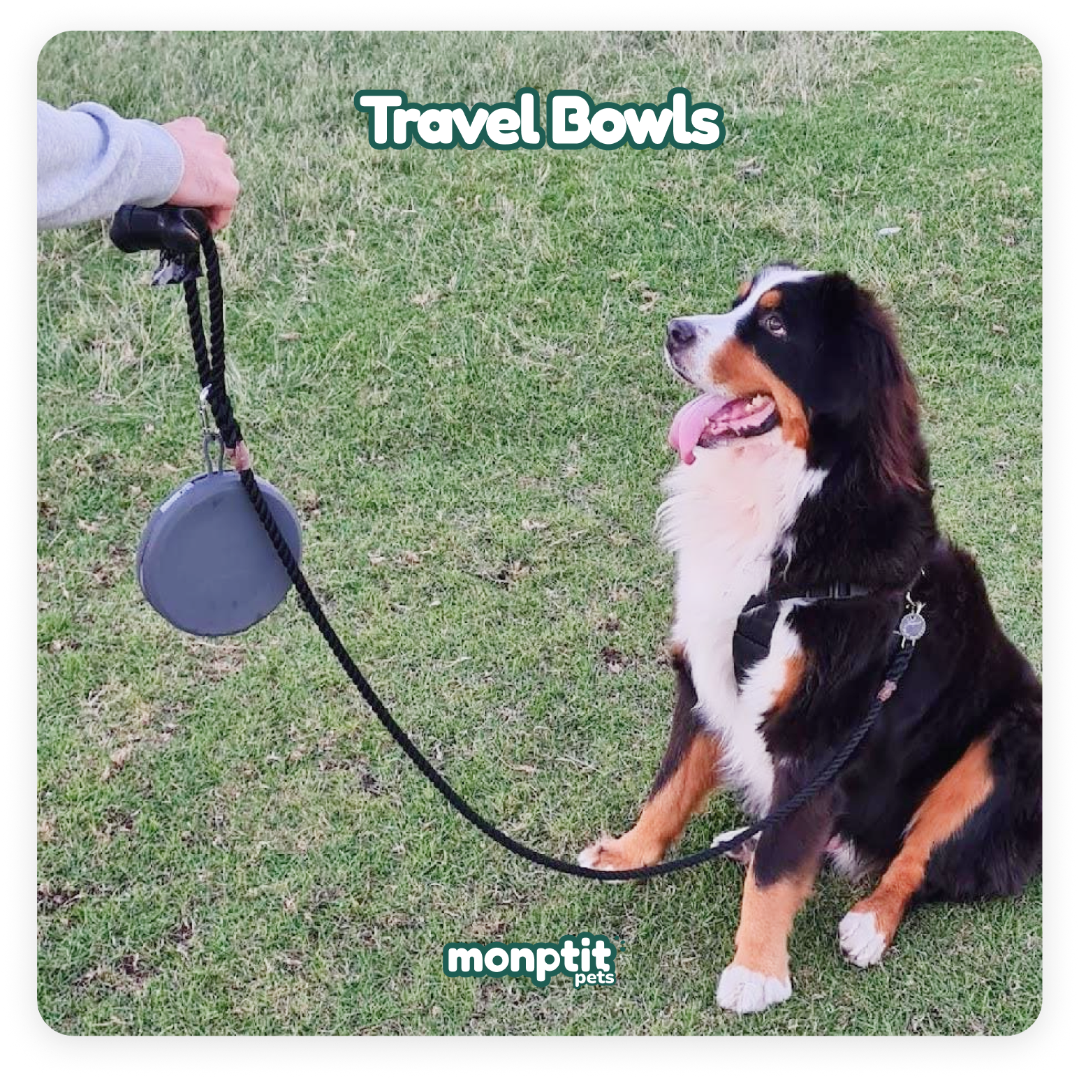 Compact and lightweight Monptit Pets travel bowls – double and adjustable