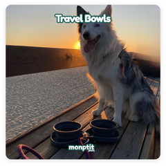 Travel bowls for food and water – compact and reusable by Monptit Pets
