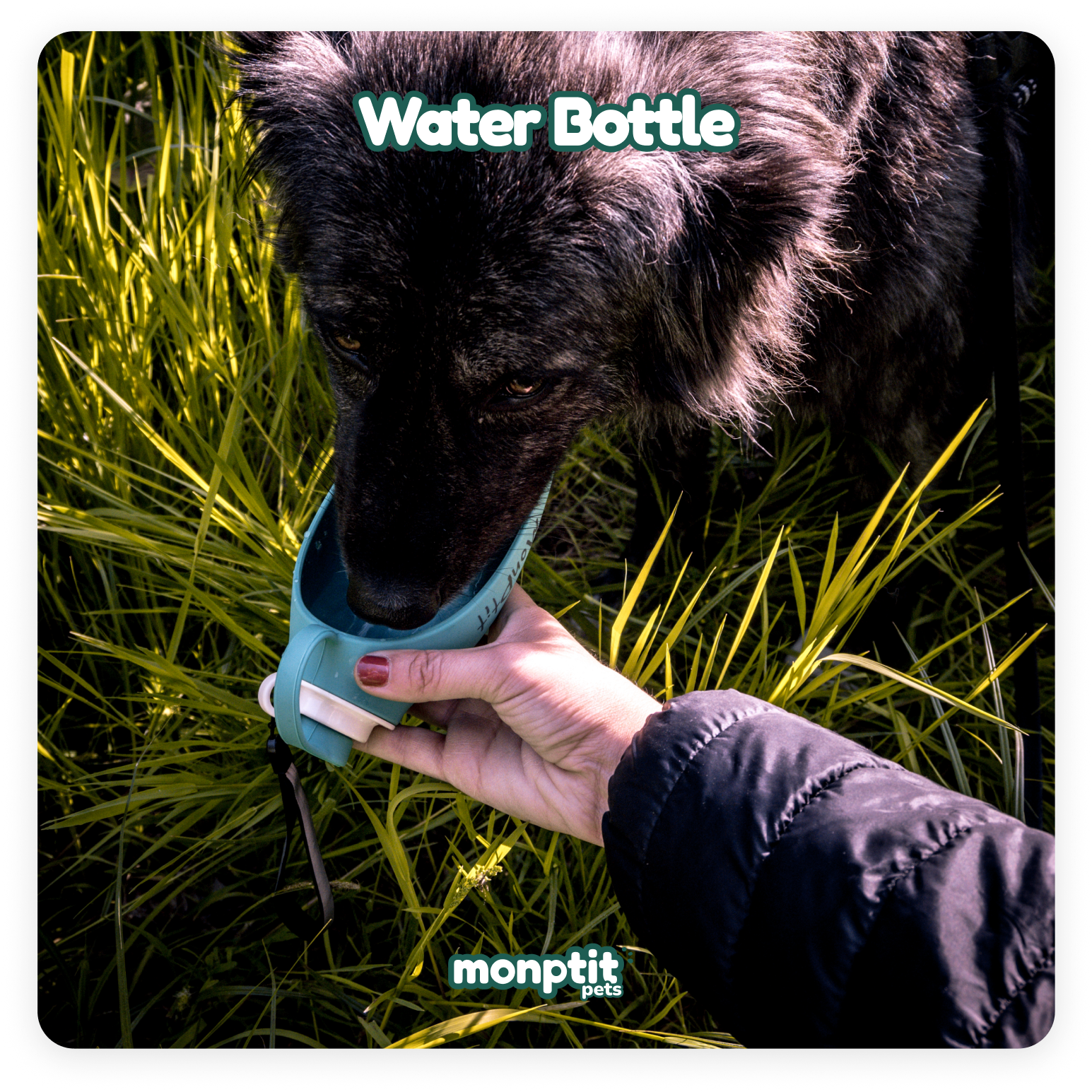 Eco-friendly BPA-free water bottle for pets – Monptit Pets gear