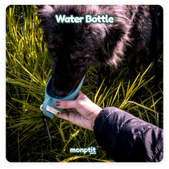 Eco-friendly BPA-free water bottle for pets – Monptit Pets gear