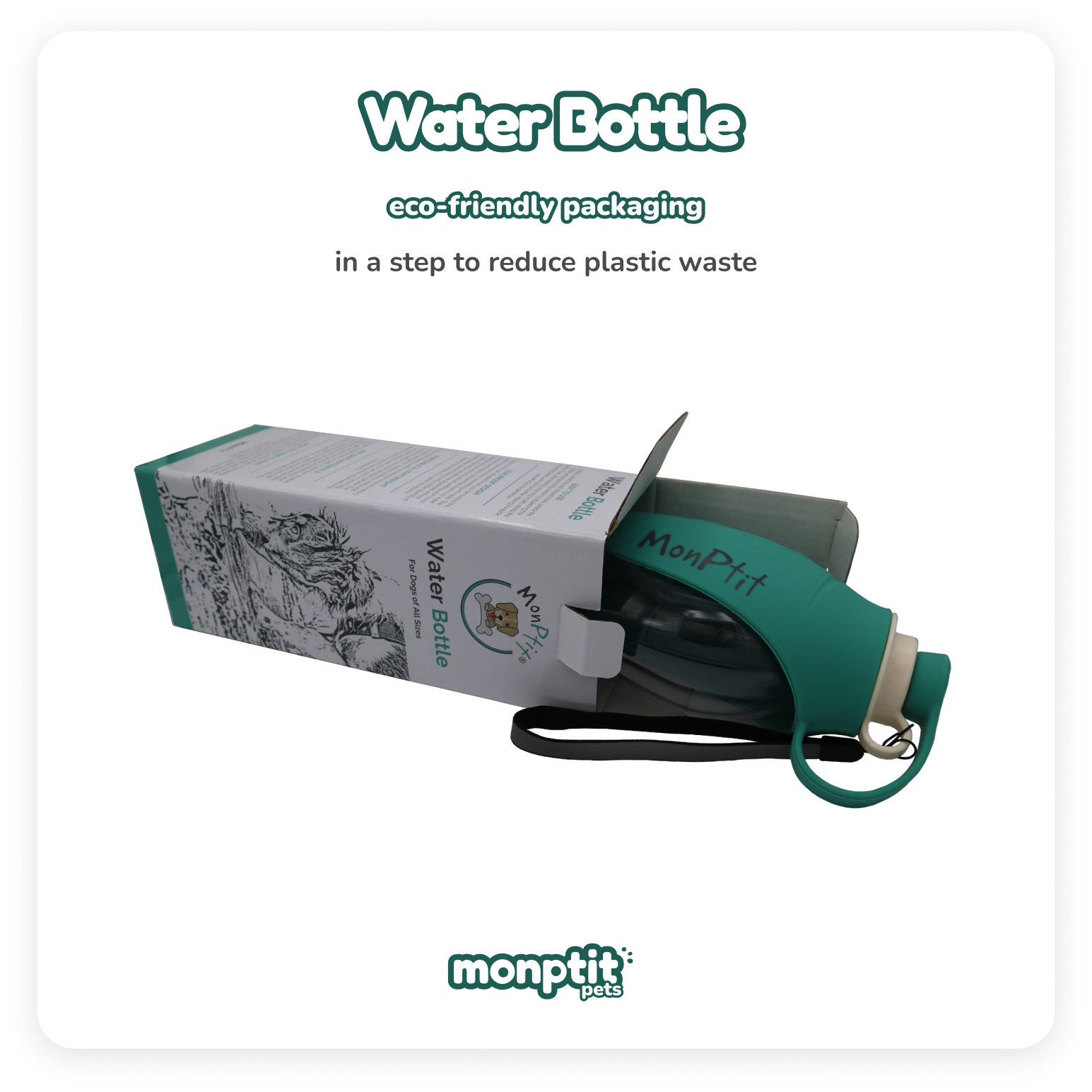 How to keep your dog hydrated outdoors – Monptit Pets demo image