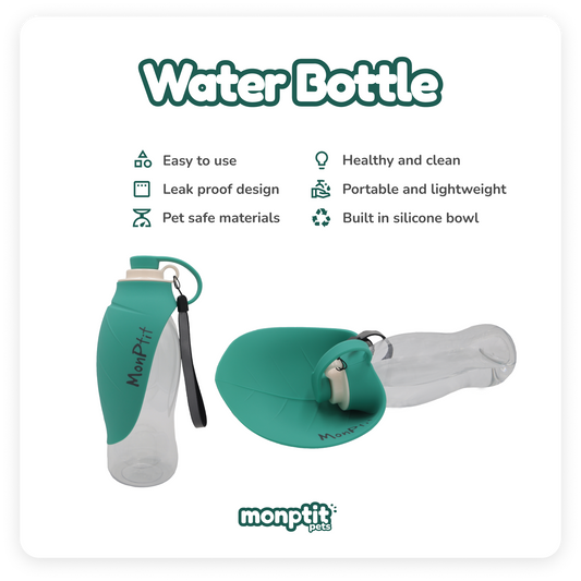 Dog drinking from Monptit Pets water bottle at the park demo video usage