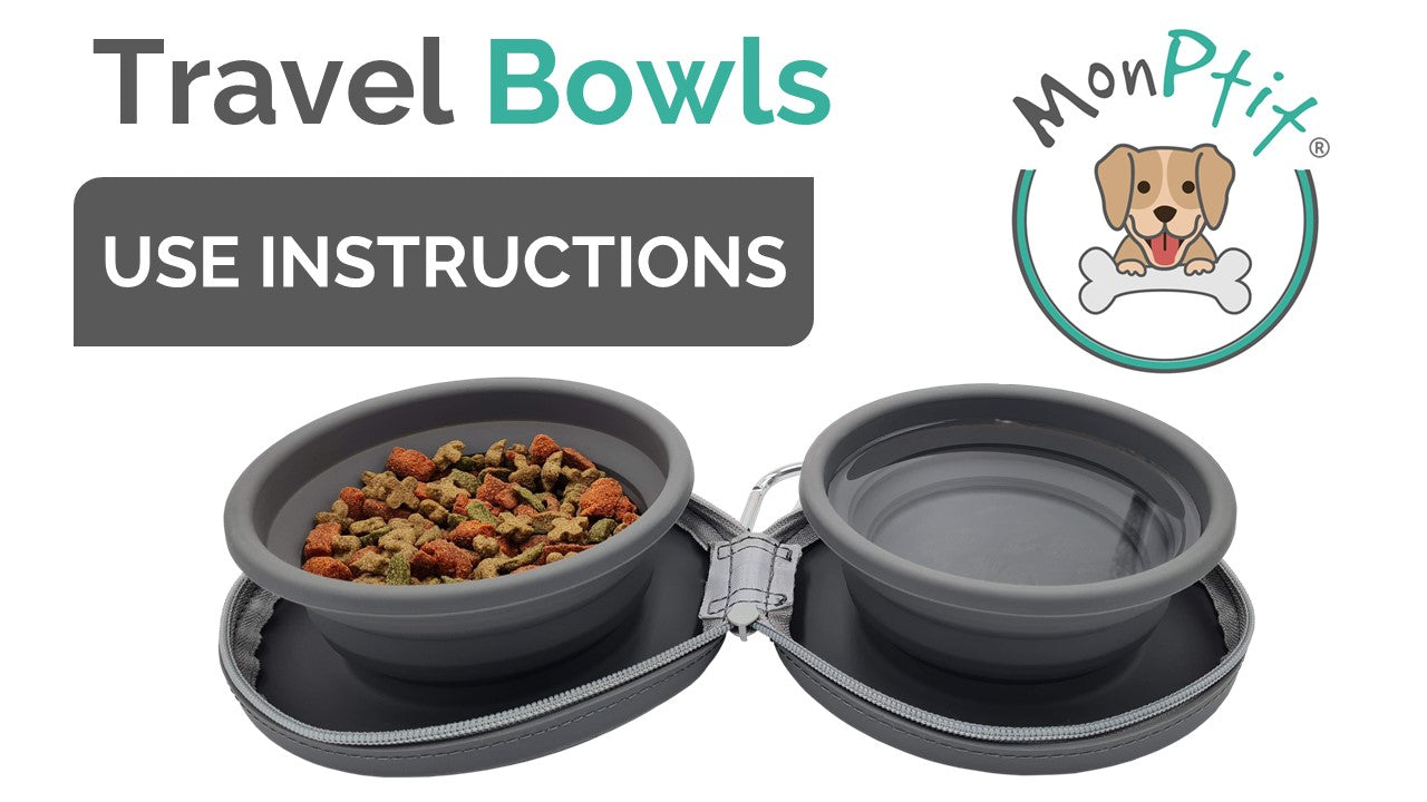 Portable food and water bowl demo – Monptitpets travel essentials
