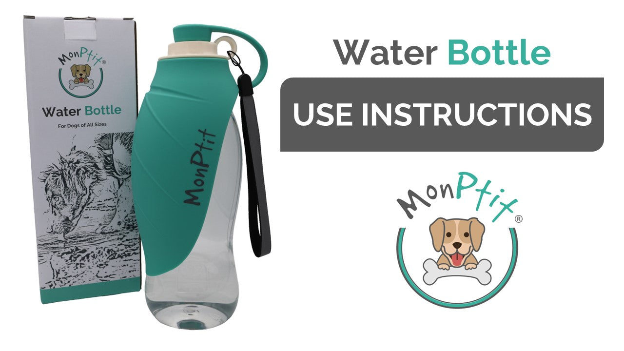 Water Bottle